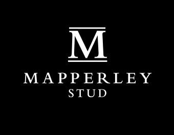 Mapperley Stud